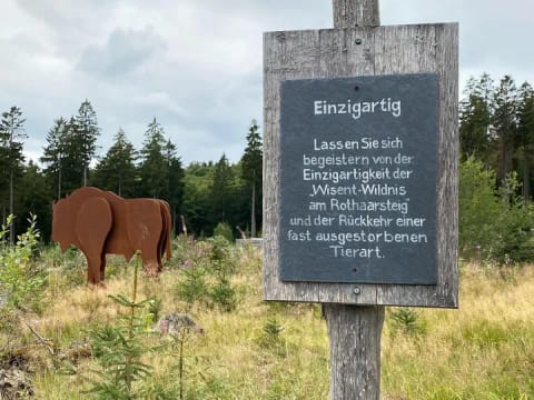 Heute sind wir am Rothaasteig, in der @Wisentwelt und haben viel Spaß! ❤️ - Instagram Bild 2