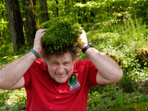 Der Wald und wir Menschen