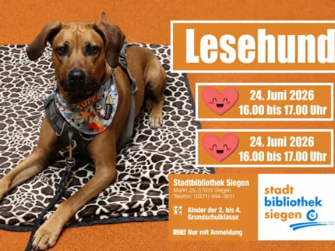 Hero-Bild für Lesehund