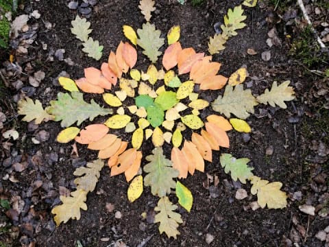 Resilienz-Workshop: Kreative Natur für Jugendliche