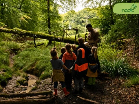 Wald-Entdeckerreise mit dem Projekt "Natur digital begreifen"
