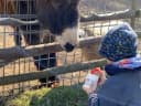 🐾Tierpark Niederfischbach! - Instagram Vorschaubild 1