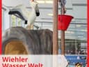 🤗Wir hatten heute eine tolle Zeit in Wiehls Schwimmbad: @wiehler_wasser_welt, obwohl es sehr sooo rappelvoll war! - Instagram Vorschaubild 1