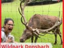 Das war unser Besuch im Wildpark Donsbach! - Instagram Vorschaubild 1