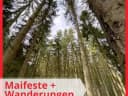 Hola! Hier schon mal 12 Tipps für Wanderung und oder Maifeste mit Kids zusammengefasst ❤️ - Instagram Vorschaubild 1
