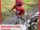 🐐Auf Tour mit den süßen Ziegen von @Hickenziegen! - Instagram Vorschaubild 1