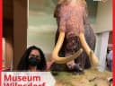 🦖Das Museum präsentiert die Sonderausstellung “Abenteuer Urzeit”, eine spannende Reise durch die Geschichte unseres Planeten! Sogar mit Dinos und andere längst ausgestorbene Tiere, die vor Millionen Jahren gelebt haben. - Instagram Vorschaubild 1