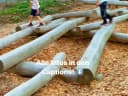 📍 Willkommen im Schulpark am Stadtwald in #Siegen! 🌳 - Instagram Vorschaubild 1
