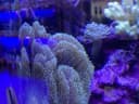 Auf dem Weg zu dem Spielplatz, den wir heute besuchten, haben wir diesen schönen Aquaristik Geschäft entdeckt (Fish and More). 🐠🐟 - Instagram Vorschaubild 1
