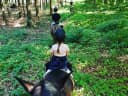 Sunday Funday!⠀ - Instagram Bild 1