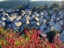 ❤️ #Freudenberg ist immer eine gute Idee! - Instagram Bild 1