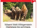 Seit letzter Woche ist die @wisentwelt wieder geöffnet! 😃⠀⠀ - Instagram Bild 1