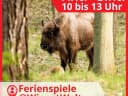 Ferienspiele in der #WisentWildnis!⁠ Mit @Jugend_blb [Unbeauftrage Werbung, unbezahlt]⁠⠀ - Instagram Bild 1