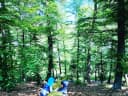 Was kann man alles im Wald finden? ⠀ - Instagram Bild 1