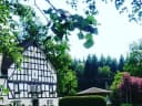 Weihnachtsbaumkauf im Scheiderwald beim Forstbetrieb Quast (Wenden). Bio-Weihnachtsbäumen, kleinen Streichelzo für die Kinder und Speis und Trank. - Instagram Bild 1