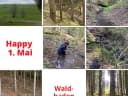 Waldbaden!! Tja, die Kids hätten gerne im Bach gebadet! 🤣😅 - Instagram Bild 1