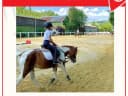 Reiten in den Ferien!⠀ - Instagram Bild 1