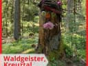 💫Heute war ein wunderbarer Tag! - Instagram Bild 1