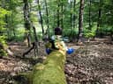 Spielerisch die Natur entdecken: Raus an die Frische Luft! - Instagram Bild 1