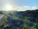 Die Natur gibt uns so viel Kraft! 😍 🙌🏼 - Instagram Bild 1
