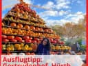 Heute haben wir uns vom Herbstmarkt im Gertrudenhof in Hürth verabschiedet. Ab nächsten Samstag, den 06.11., wird er zum "Winterzauber". Es wird eine große Weihnachtsausstellung geben, Christmas Candy Beach mit tollen Hüpfburgen, Glühweinhütte, Spielplatz und Gnadenhof-Streichelzoo. - Instagram Bild 1