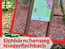 ...und vom Parkplatz unterhalb des Tierparks wandert man über Waldwege entlang des Otterbachs… - Instagram Bild 1