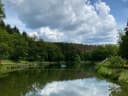 Der Seelbacher Weiher hat wieder auf, Jetzt fehlt nur noch die Sonne! 💫☀️ - Instagram Bild 1