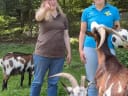 REEL 18107720656859001 - Instagram Vorschaubild 1
