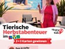 WERBUNG | GEWINNSPIEL! - Instagram Bild 1