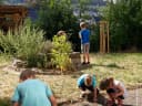 Ferienspiele: Was summt und brummt auf der Wildwiese? – für Kinder von 6-12 Jahren