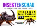Hero-Bild für Insektenschau – Kunstwerke der Evolution