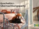 Hero-Bild für Kuscheltier-Übernachtungsparty
