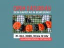 Hero-Bild für OPEN SATURDAY – DEIN SAMSTAG IN BEWEGUNG!