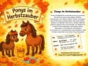 Hero-Bild für Ponys im Herbstzauber