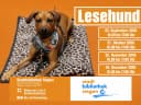 Hero-Bild für Lesehund