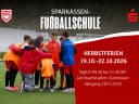 Hero-Bild für Sparkassen-Fußballschule Herbstferien
