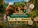 Hero-Bild für WILDNISPÄDAGOGIK Heldenschmiede