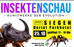 Insektenschau – Kunstwerke der Evolution in Dorint Parkhotel