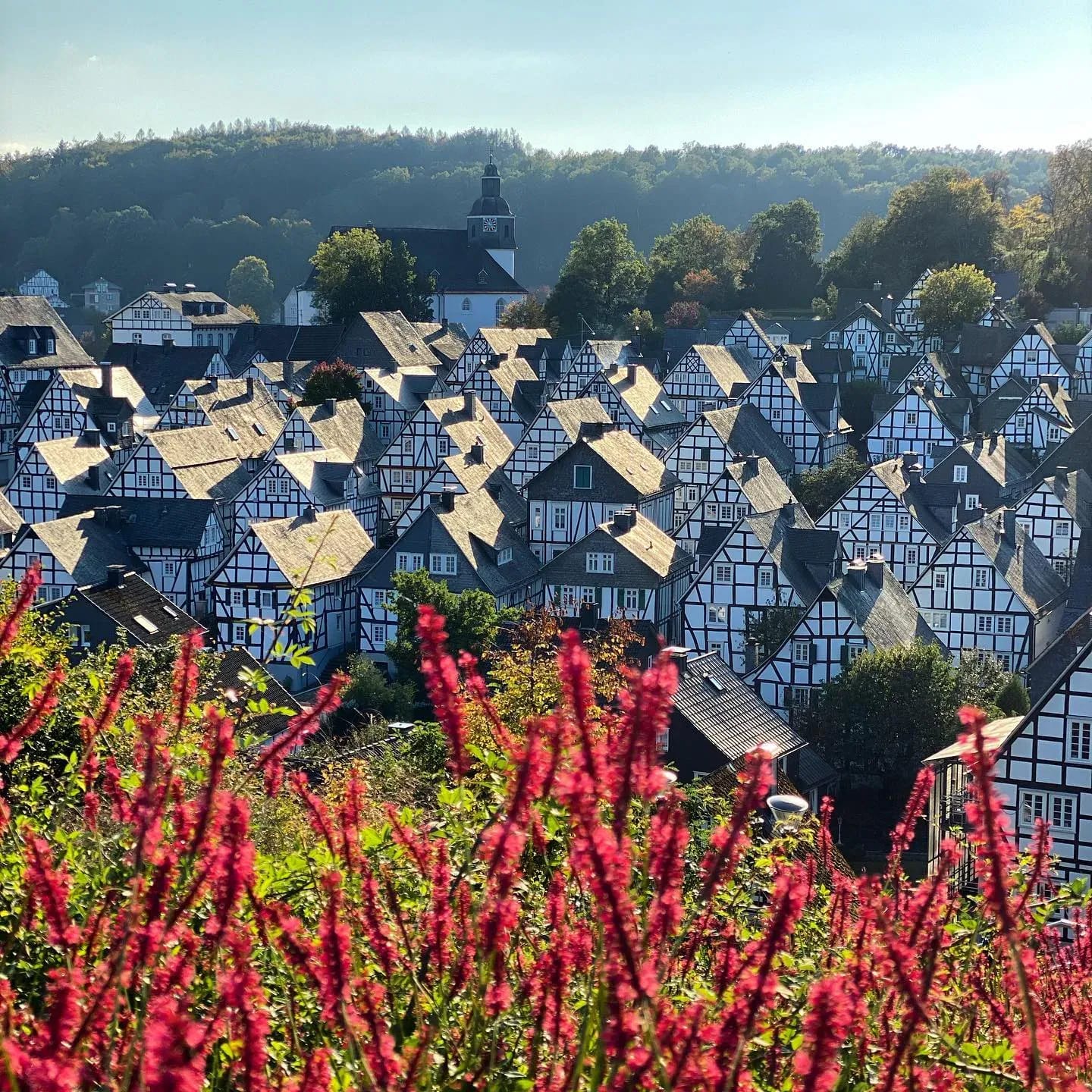 ❤️ #Freudenberg ist immer eine gute Idee! - Instagram Bild 1