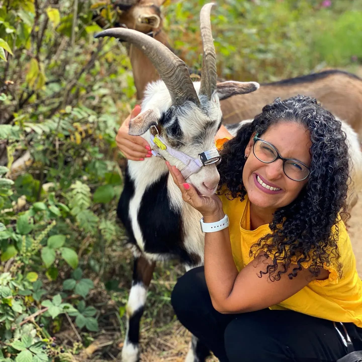 Heute machen wir was ganz tolles!!!! @hickenziegen ❤️🐐 - Instagram Bild 1