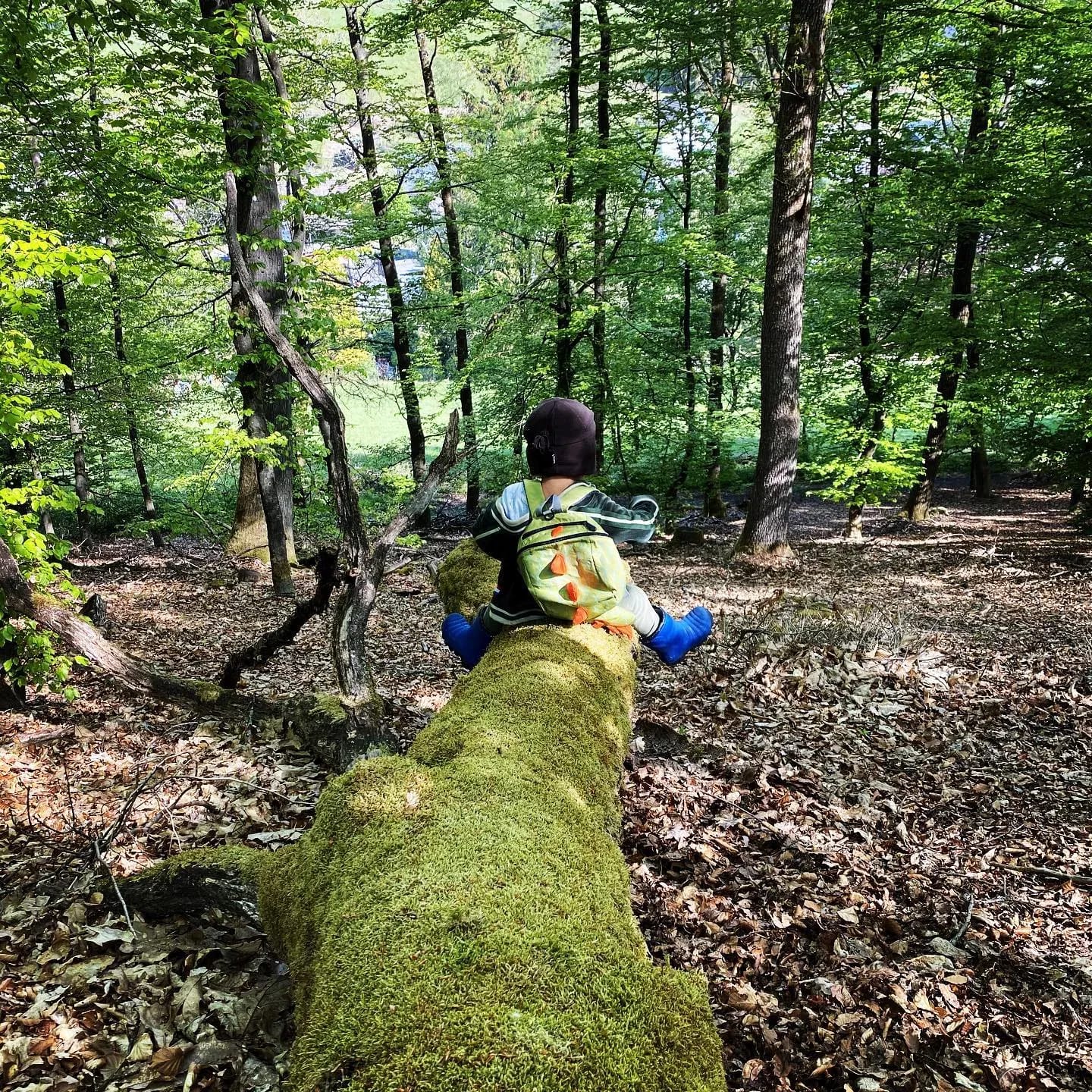 Spielerisch die Natur entdecken: Raus an die Frische Luft! - Instagram Bild 1