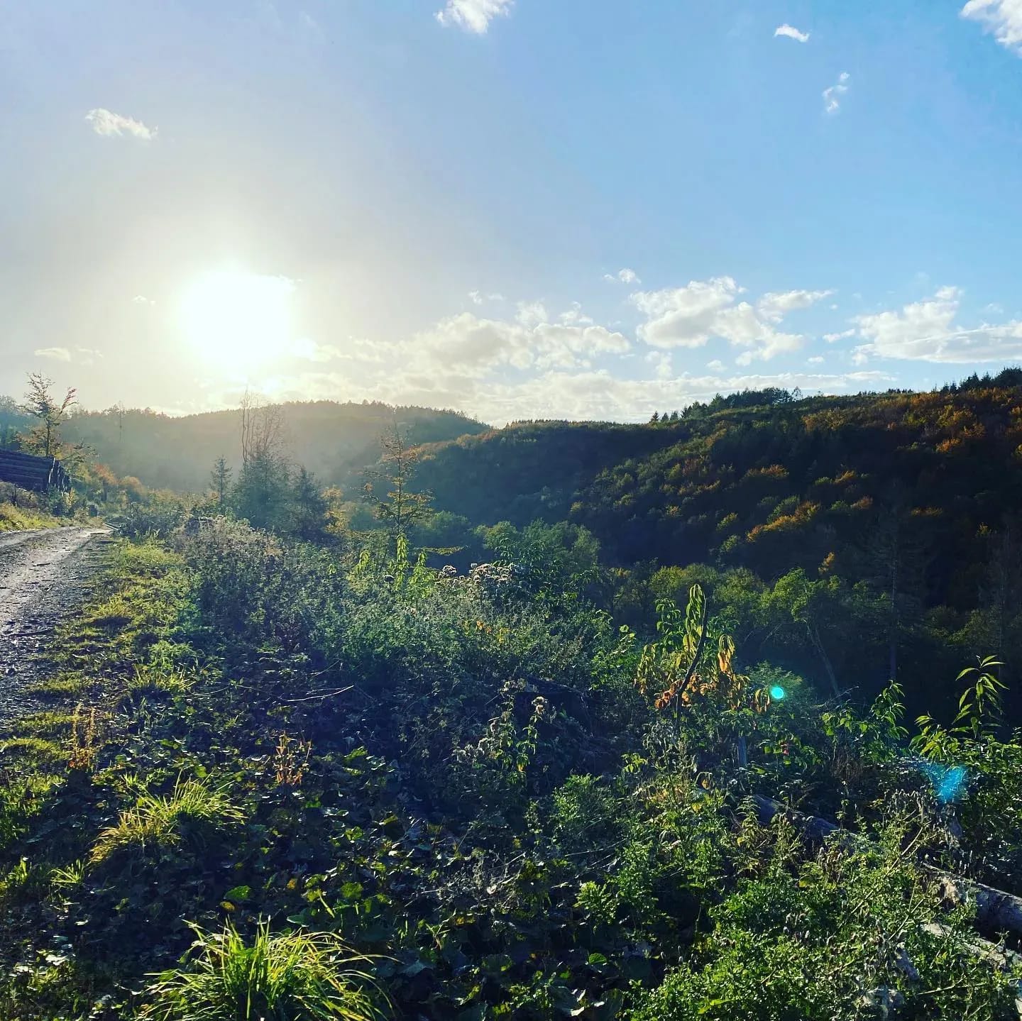 Die Natur gibt uns so viel Kraft! 😍 🙌🏼 - Instagram Bild 1