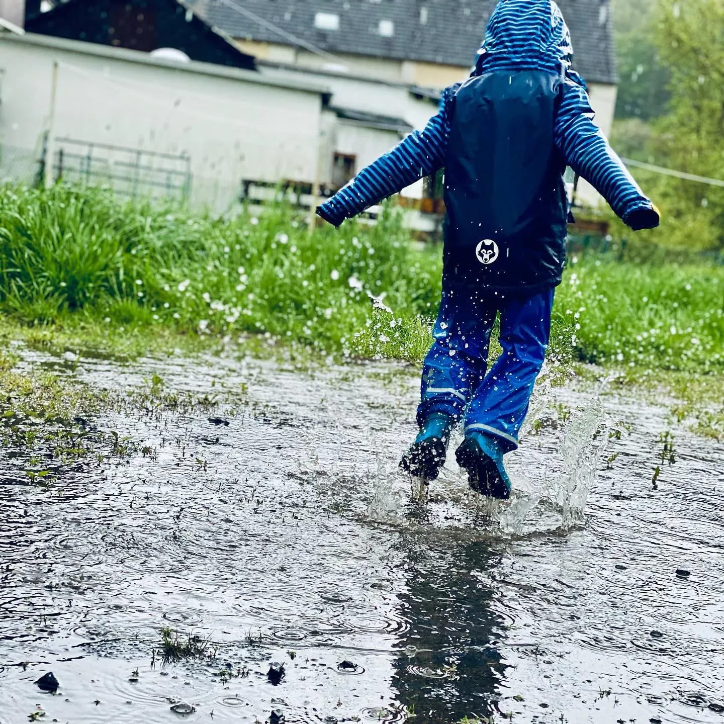 Hola! Es wird morgen ziemlich viel regnen, mindestens 50 mm sind vorhergesagt! 😱🌧 - Instagram Bild 1