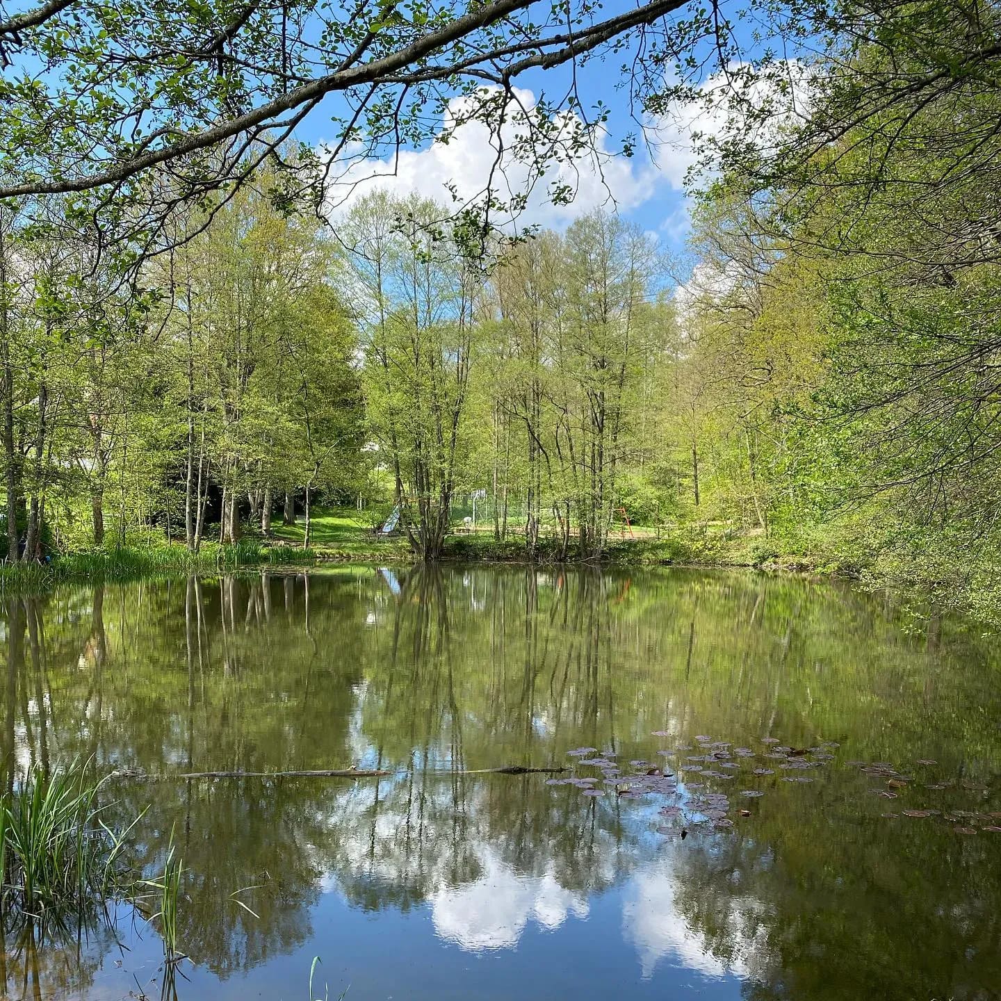 Wahnsinn, was die Natur in ihrer ganzen Pracht zu bieten hat. 🥰 - Instagram Bild 1