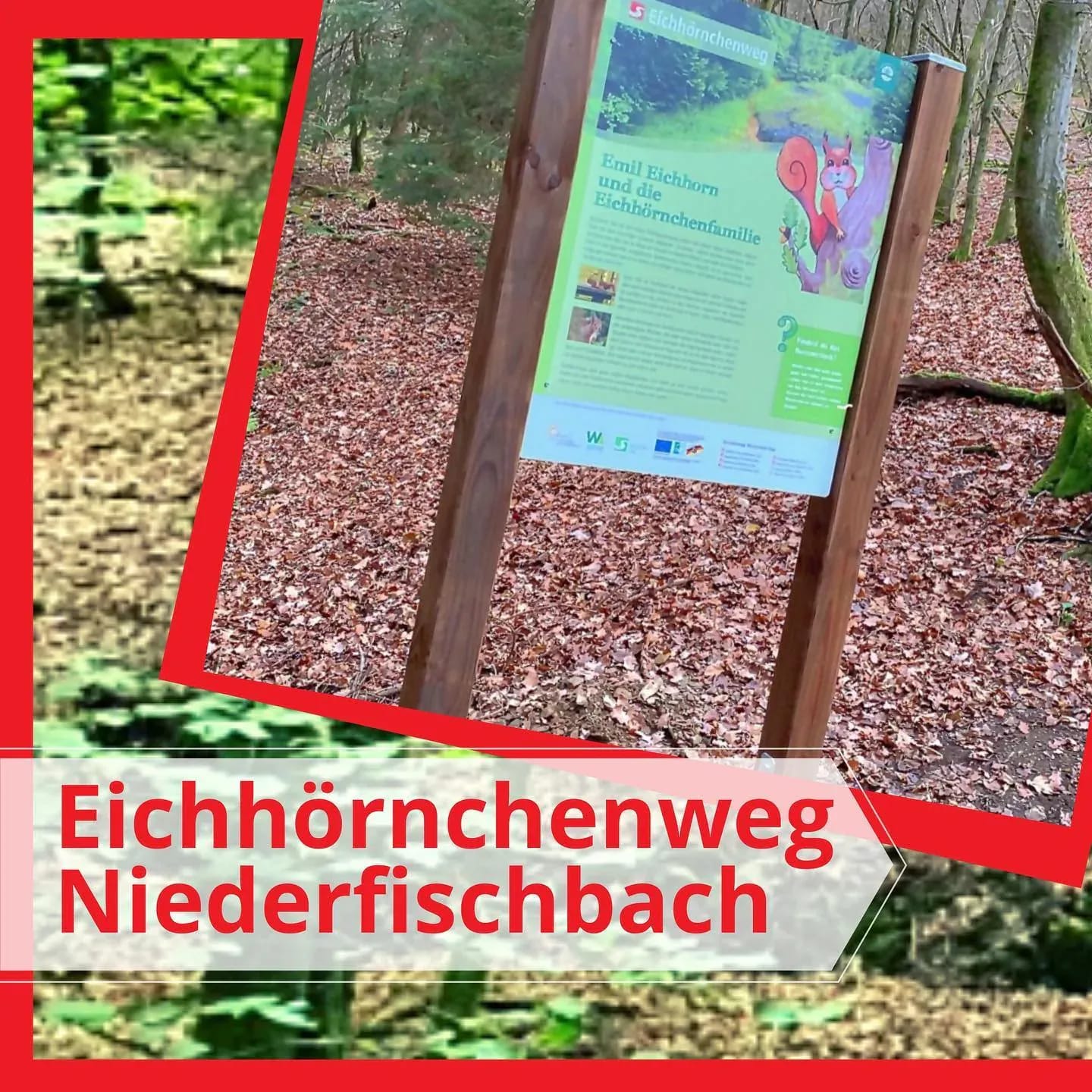 ...und vom Parkplatz unterhalb des Tierparks wandert man über Waldwege entlang des Otterbachs… - Instagram Bild 1