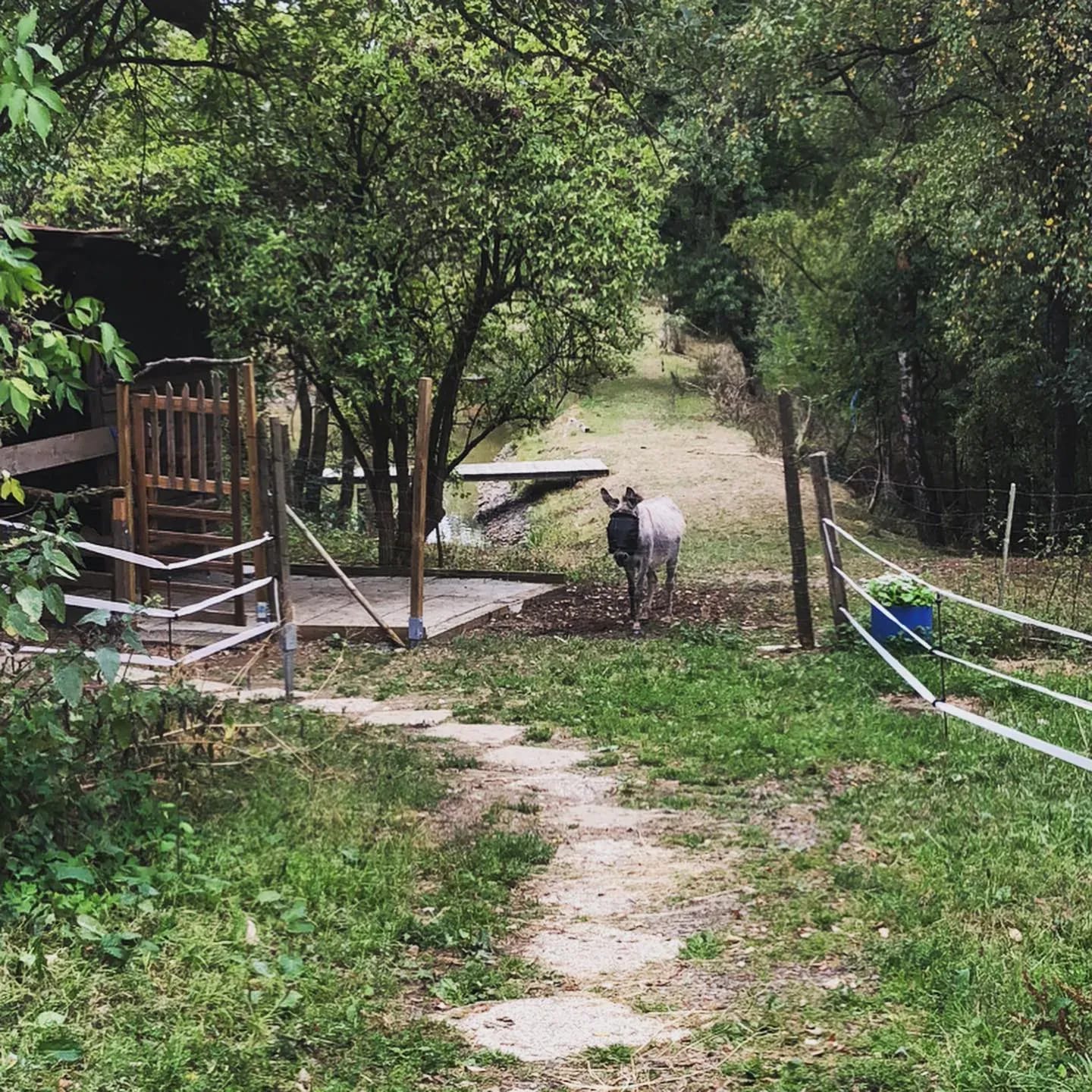☀️ Heute ist ein schöner Tag um einen Bauernhof zu besuchen! 🐄🐓 - Instagram Bild 1