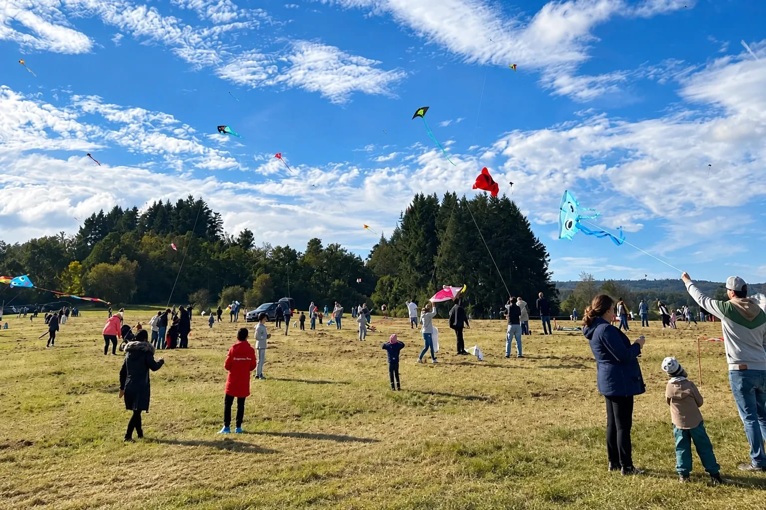 Drachenfest Haiger in Wiesen am Rand des Sportplatzes „Haarwasen“