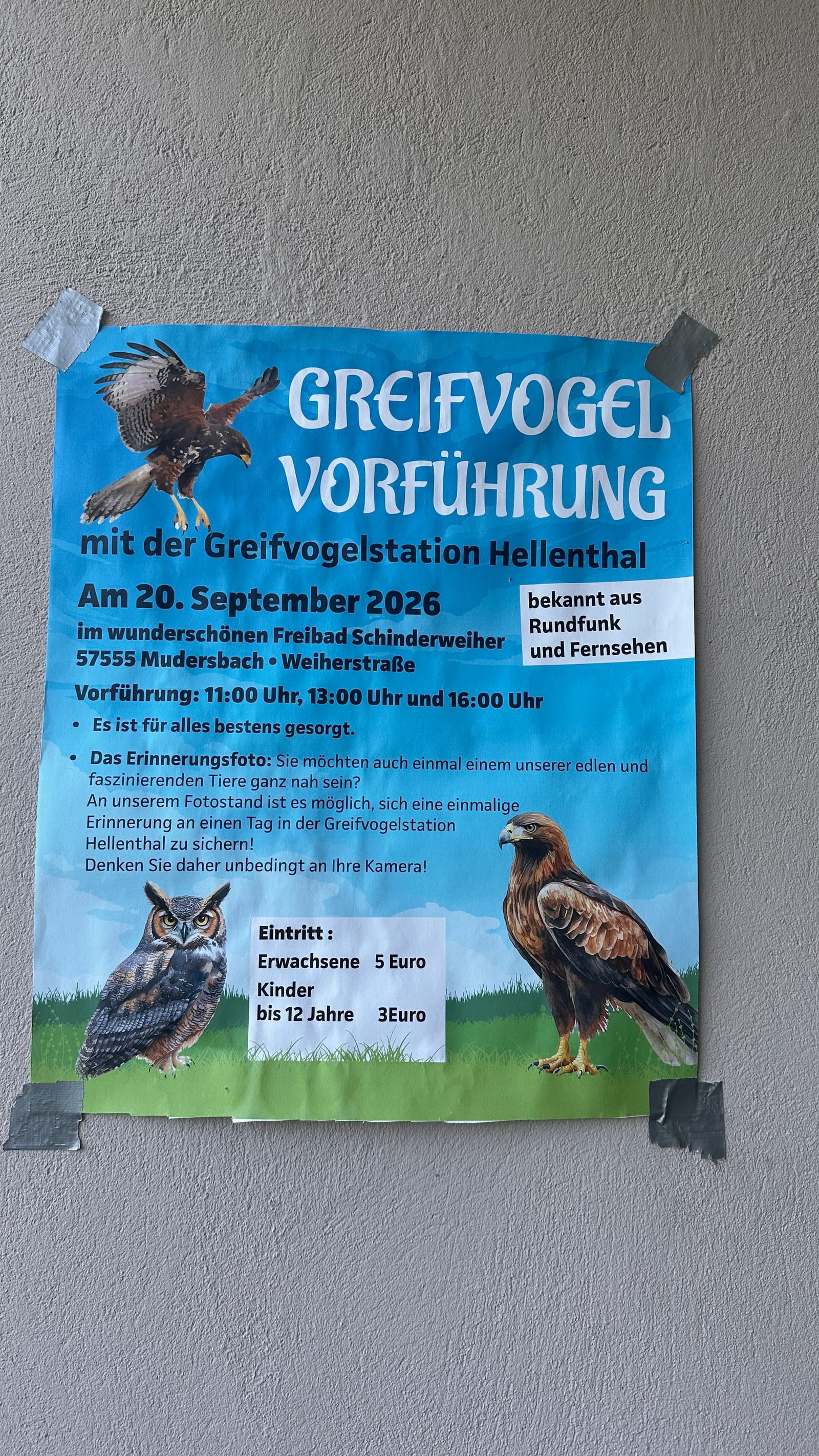 Greifvogel Vorführung in Freibad Schinderweiher