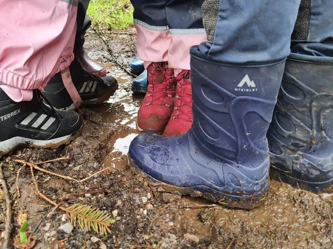 Klimaklub – Kochen mit (Wild)kräutern