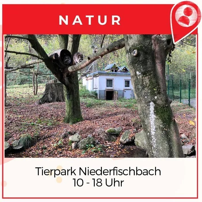 Tierpark Niederfischbach: 🦅🐰🐹🐢🐐🦝🍃 - Instagram Bild 1